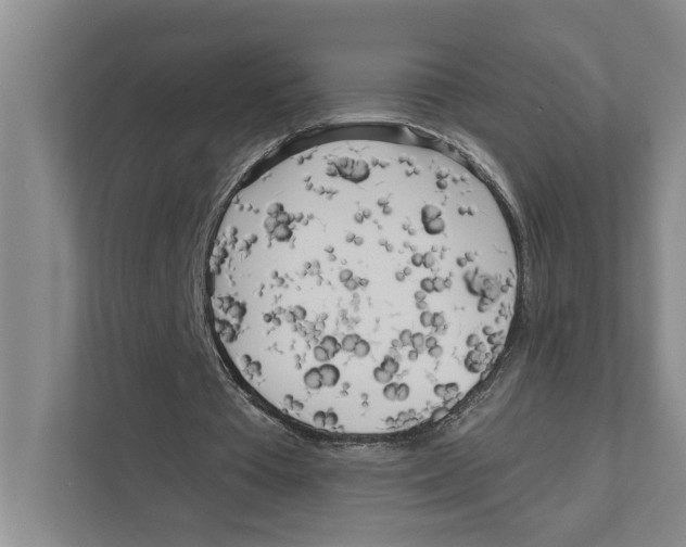 X0000111170385200907291127