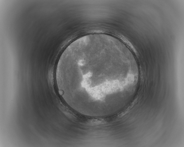 X0000111170386200907291127