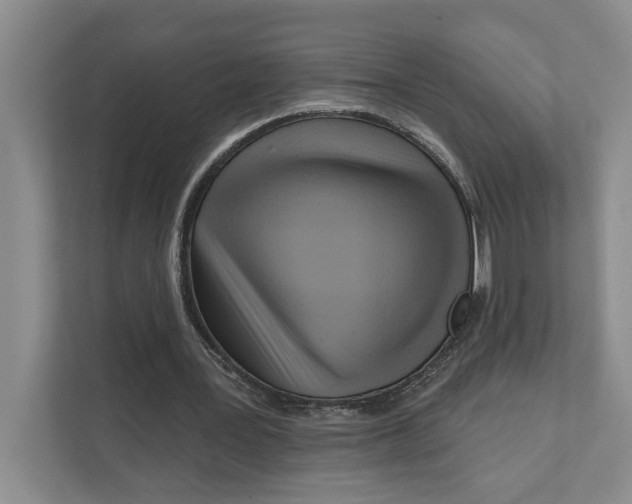 X0000111170387200907291127