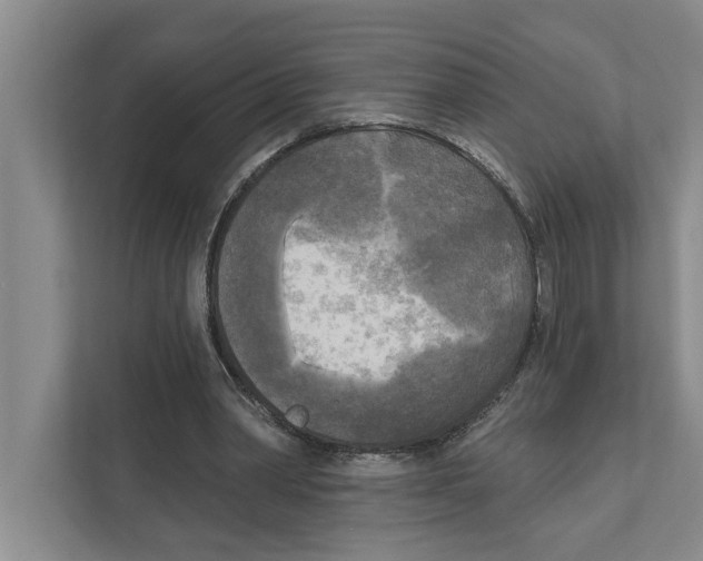 X0000111170390200907291127