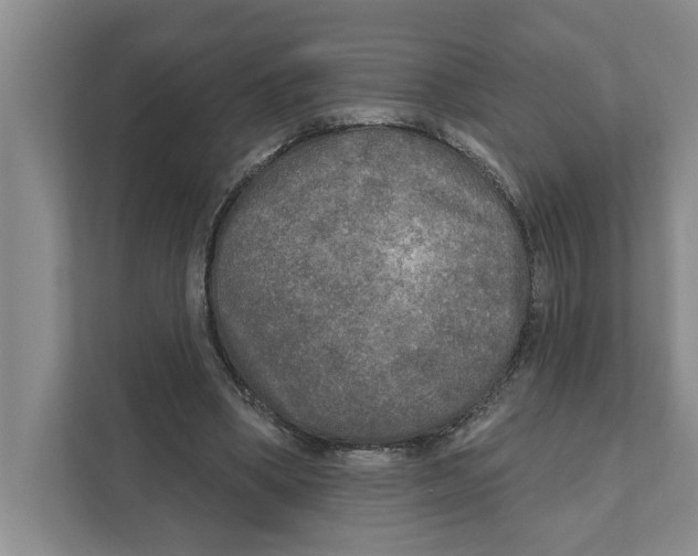 X0000111170394200907291127