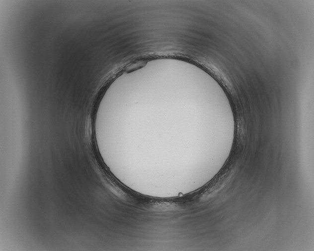 X0000111170397200907291127