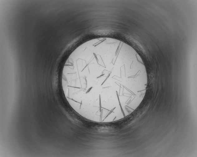 X0000111170400200907291127