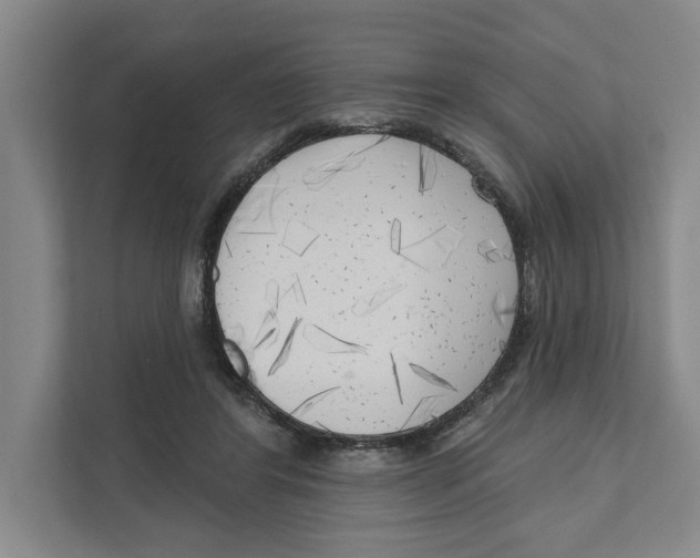 X0000111170404200907291127