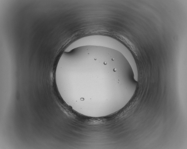 X0000111170405200907291127