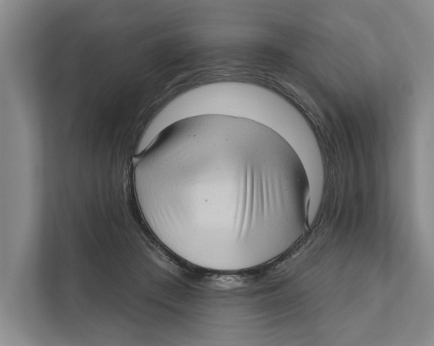 X0000111170409200907291127