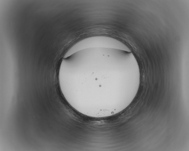 X0000111170411200907291127