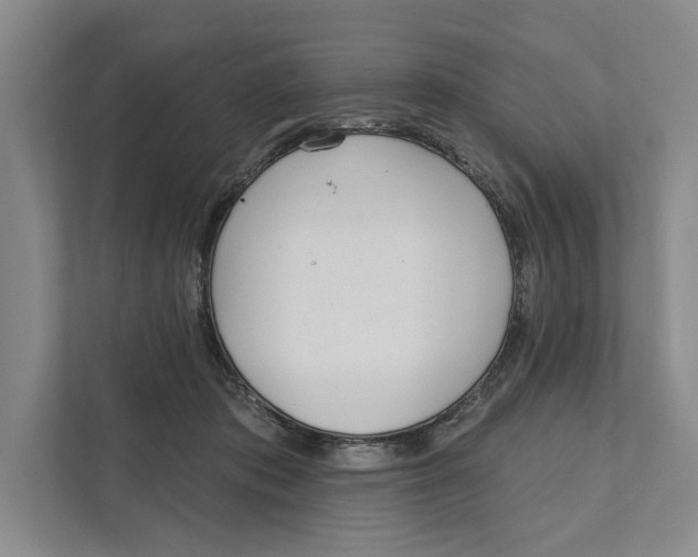 X0000111170413200907291127