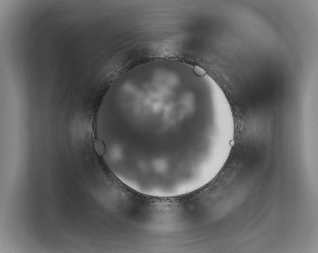 X0000111170415200907291127