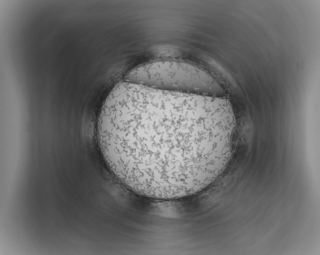 X0000111170417200907291127