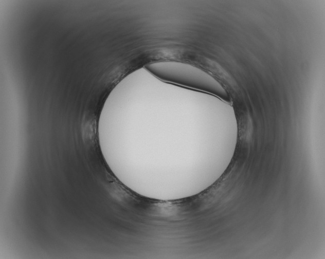 X0000111170425200907291127