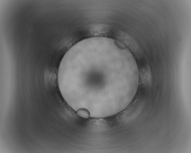 X0000111170427200907291127