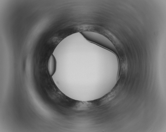 X0000111170429200907291127