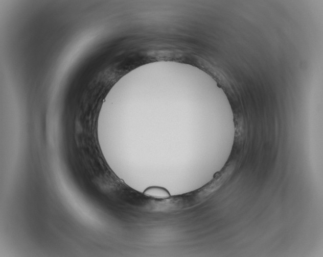 X0000111170430200907291127