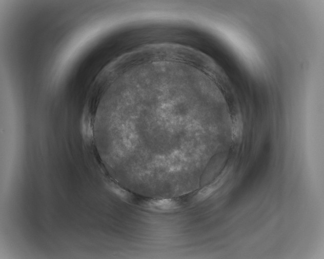 X0000111170431200907291127