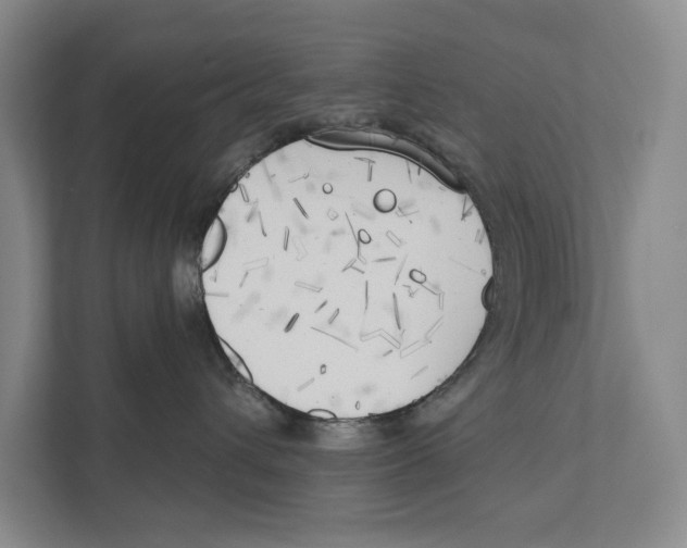 X0000111170432200907291127