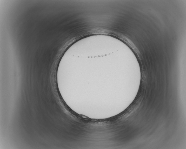 X0000111170433200907291126