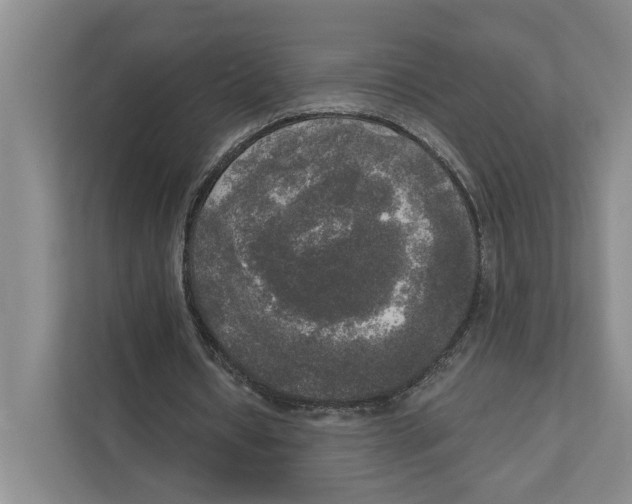 X0000111170434200907291126