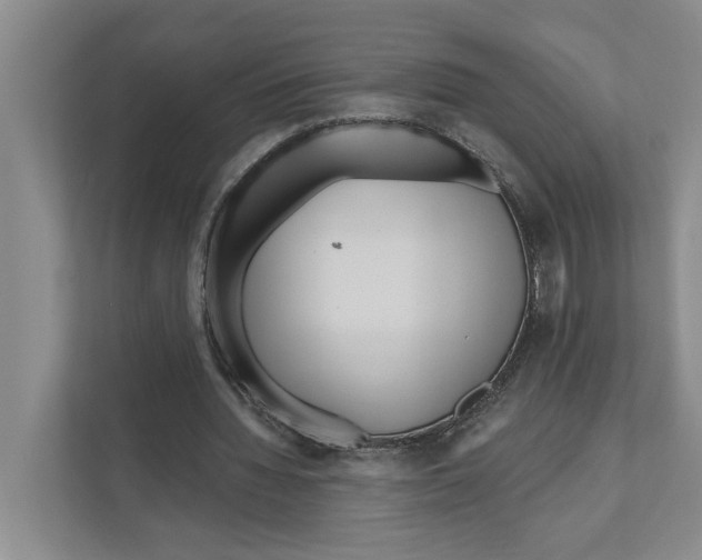 X0000111170436200907291126