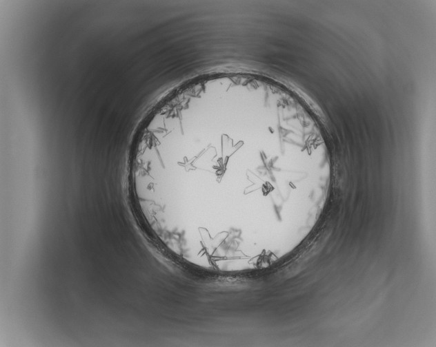 X0000111170437200907291126