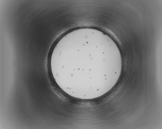 X0000111170439200907291126