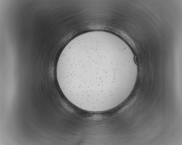 X0000111170441200907291126