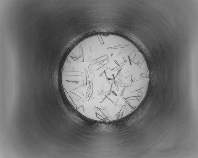 X0000111170442200907291126