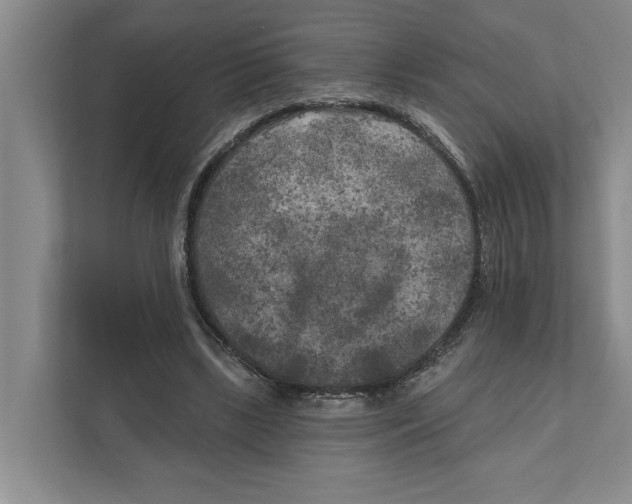 X0000111170443200907291126