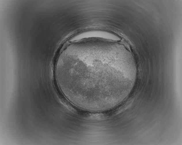 X0000111170446200907291126