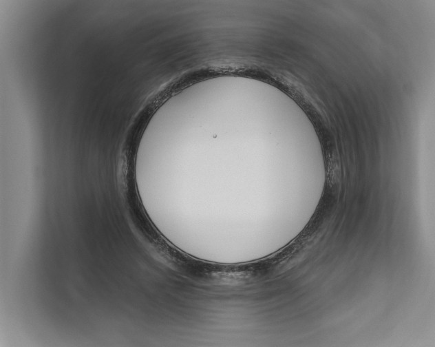 X0000111170448200907291126