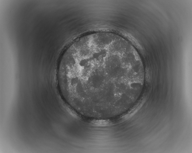 X0000111170449200907291126