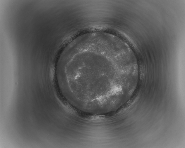 X0000111170451200907291126