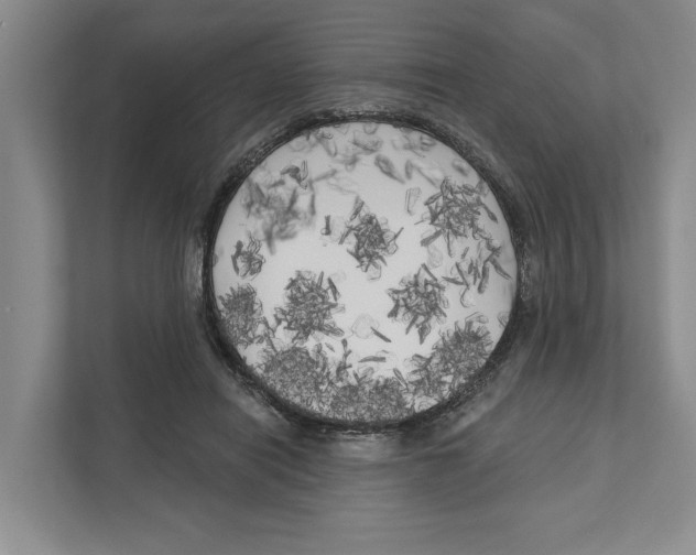 X0000111170454200907291126