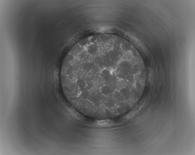 X0000111170461200907291127