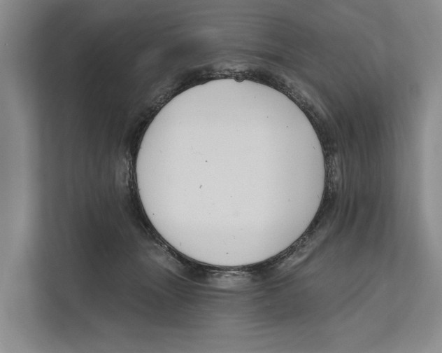 X0000111170463200907291127