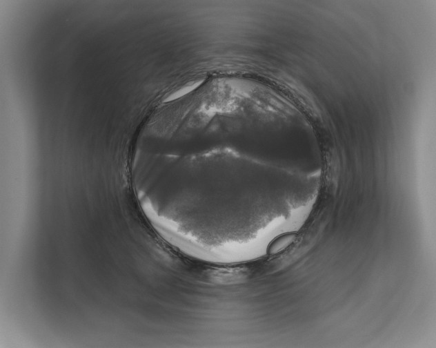 X0000111170465200907291127