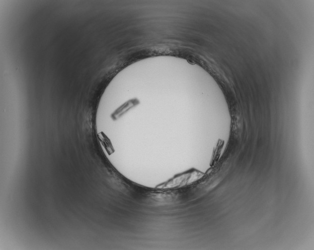 X0000111170466200907291127