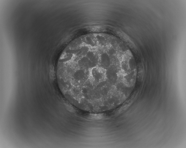 X0000111170469200907291127