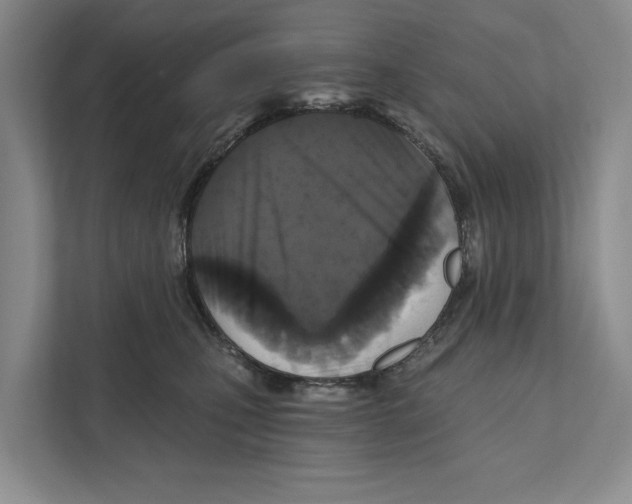 X0000111170471200907291127