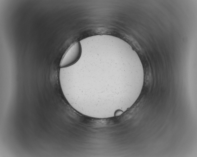 X0000111170473200907291127