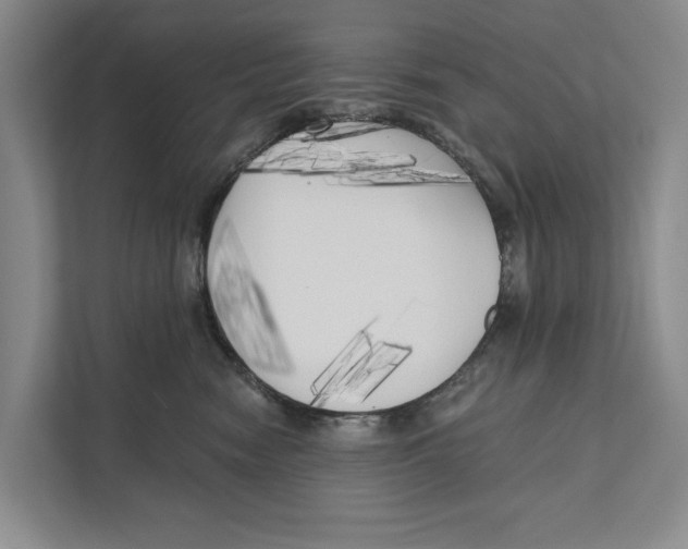 X0000111170474200907291127