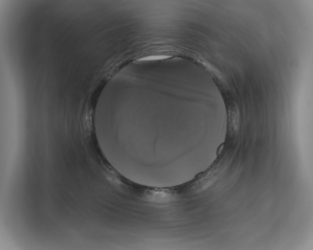 X0000111170475200907291127