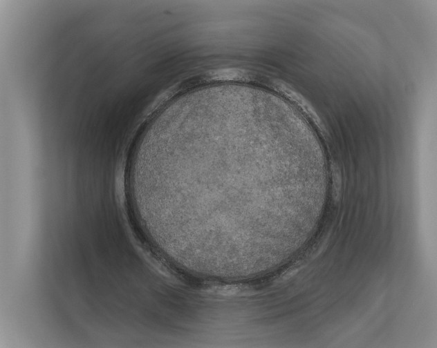 X0000111170482200907291126