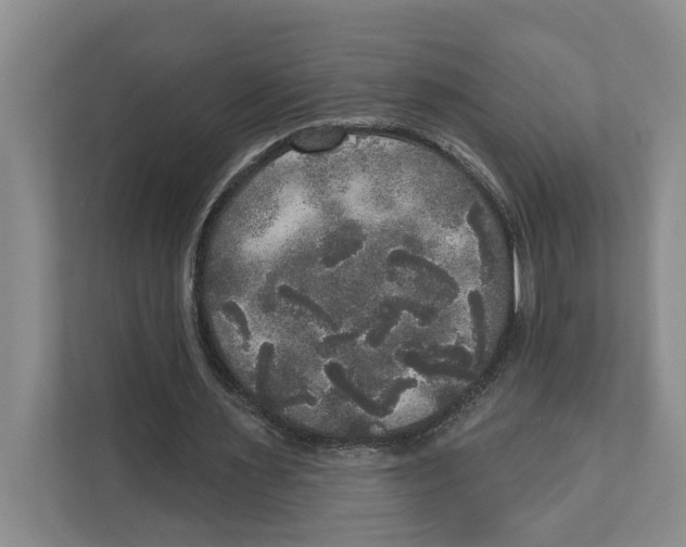 X0000111170483200907291126