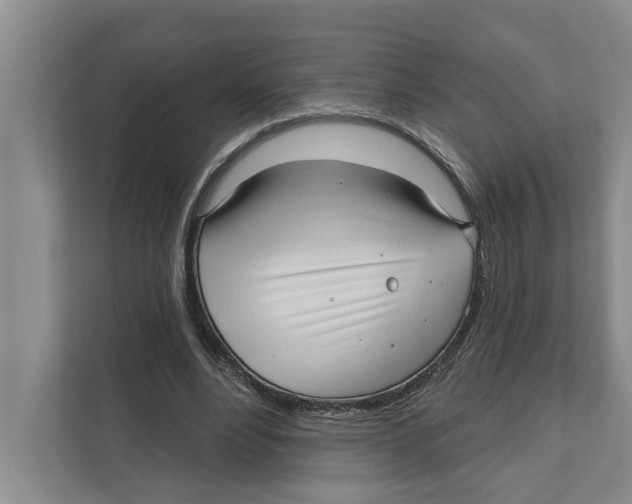 X0000111170488200907291126