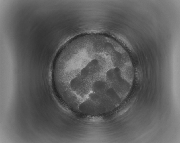 X0000111170491200907291126