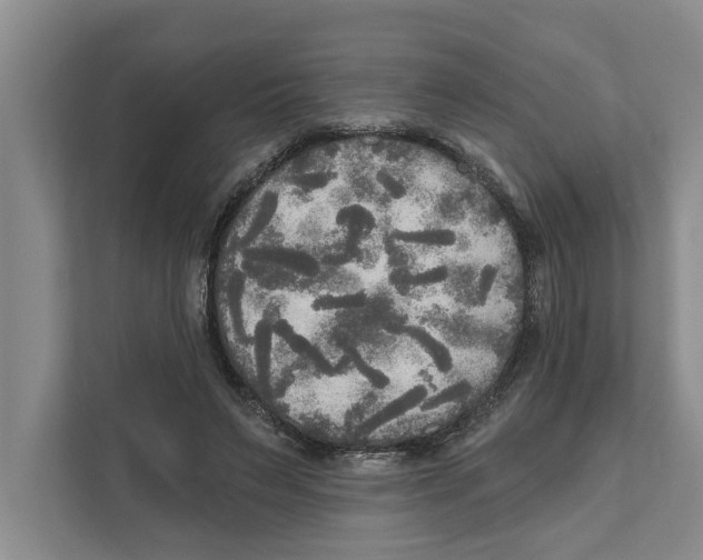 X0000111170495200907291126