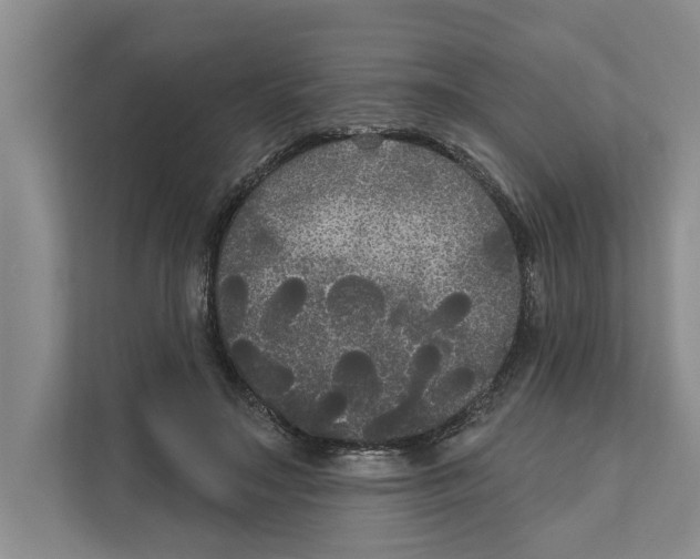 X0000111170499200907291126