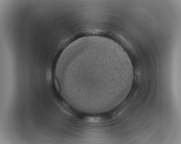 X0000111170500200907291126