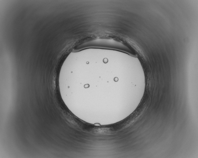 X0000111170501200907291126